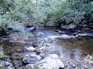 River by Ceiriog Valley Park, Llangollen
