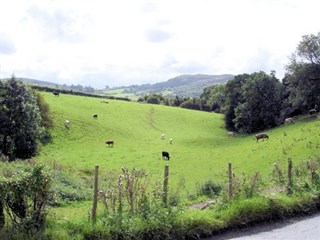 Fields in Dyserth